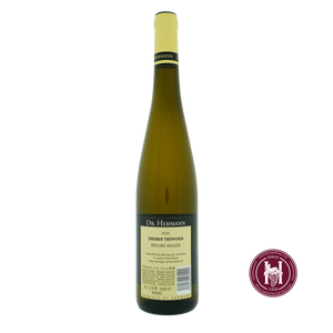 Erdener Treppchen Riesling Auslese - Weingut Dr. Hermann - 2022 - 0.75 L - Duitsland - Moezel - Wit