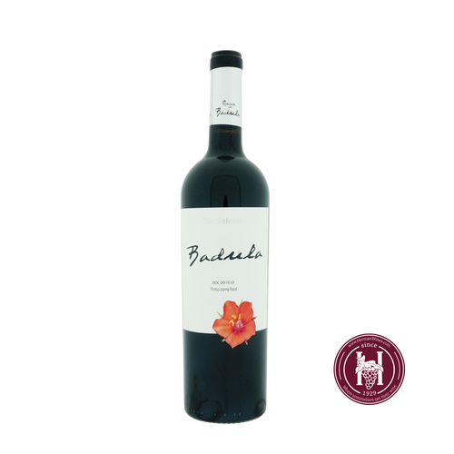 Badula Colheita Selecionada red - Quinta da Badula - 2019 - 0.75L - Portugal - Tejo - Rood - HermanWines