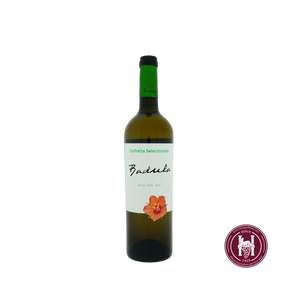 Badula Colheita Selecionada white  - Quinta da Badula - 2023 - 0.75 L - Portugal - Tejo - Wit