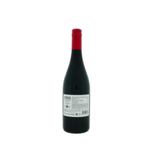 Laden Sie das Bild in den Galerie-Viewer, Neverwine smells like Garnacha (alcoholvrijewijn) - Gallina de Piel Wines - non-vintage - 0.75 L - Spanje - Catalonië - Rood
