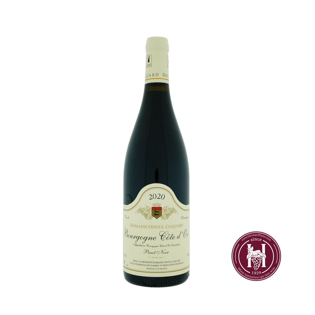 Bourgogne Pinot Noir - Odoul Coquard - 2020 - 0.75L - Frankrijk - Bourgogne - Rood - HermanWines